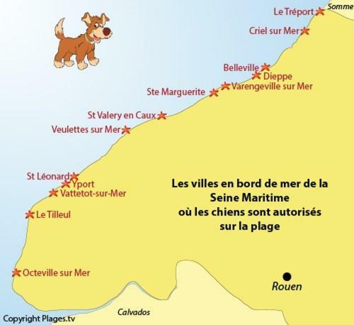 Le Kaleho, Grand Duplex Au Coeur De Dieppe - Netflix מראה חיצוני תמונה